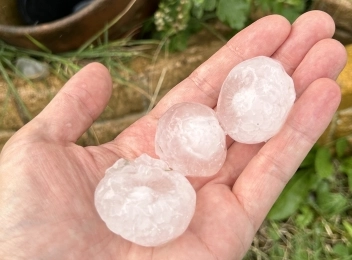 雹災による被害