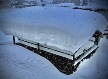 雪災による被害