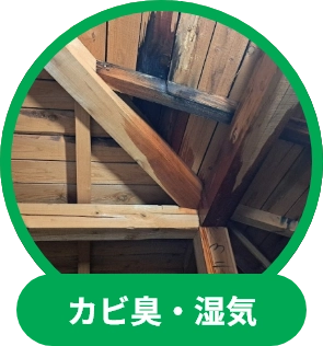 カビ臭・湿気