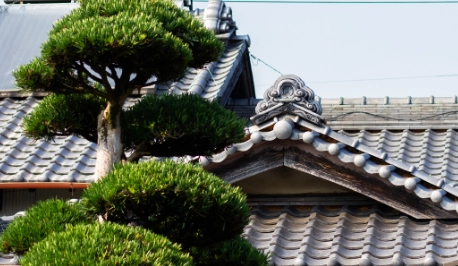 完了報告・アフター点検