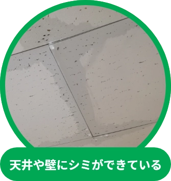 天井や壁にシミができている